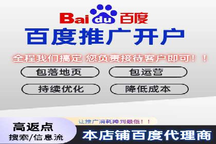 电商成功案例：竞价推广助力品牌崛起